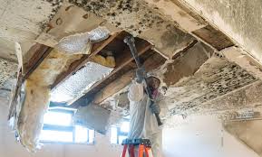 Professional Mold Inspection in Pelham, AL